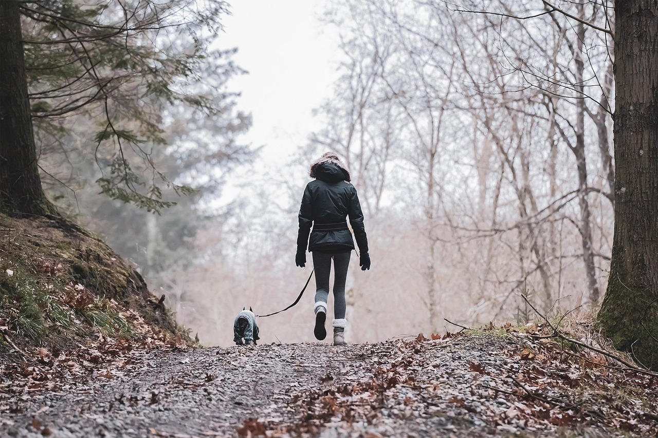 How to Choose the Right Pet for Your Activity Level