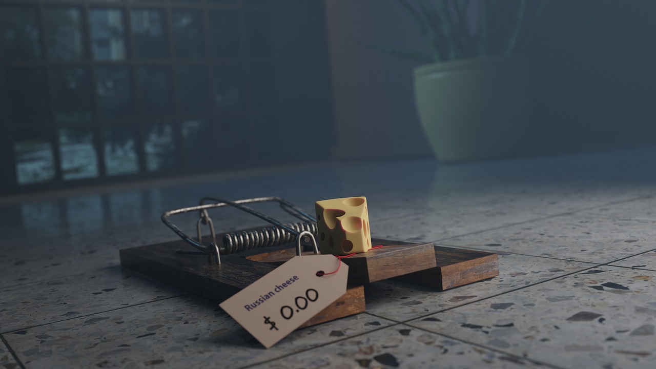 Free and impactful: 4 email marketing tools that bloggers are looking for