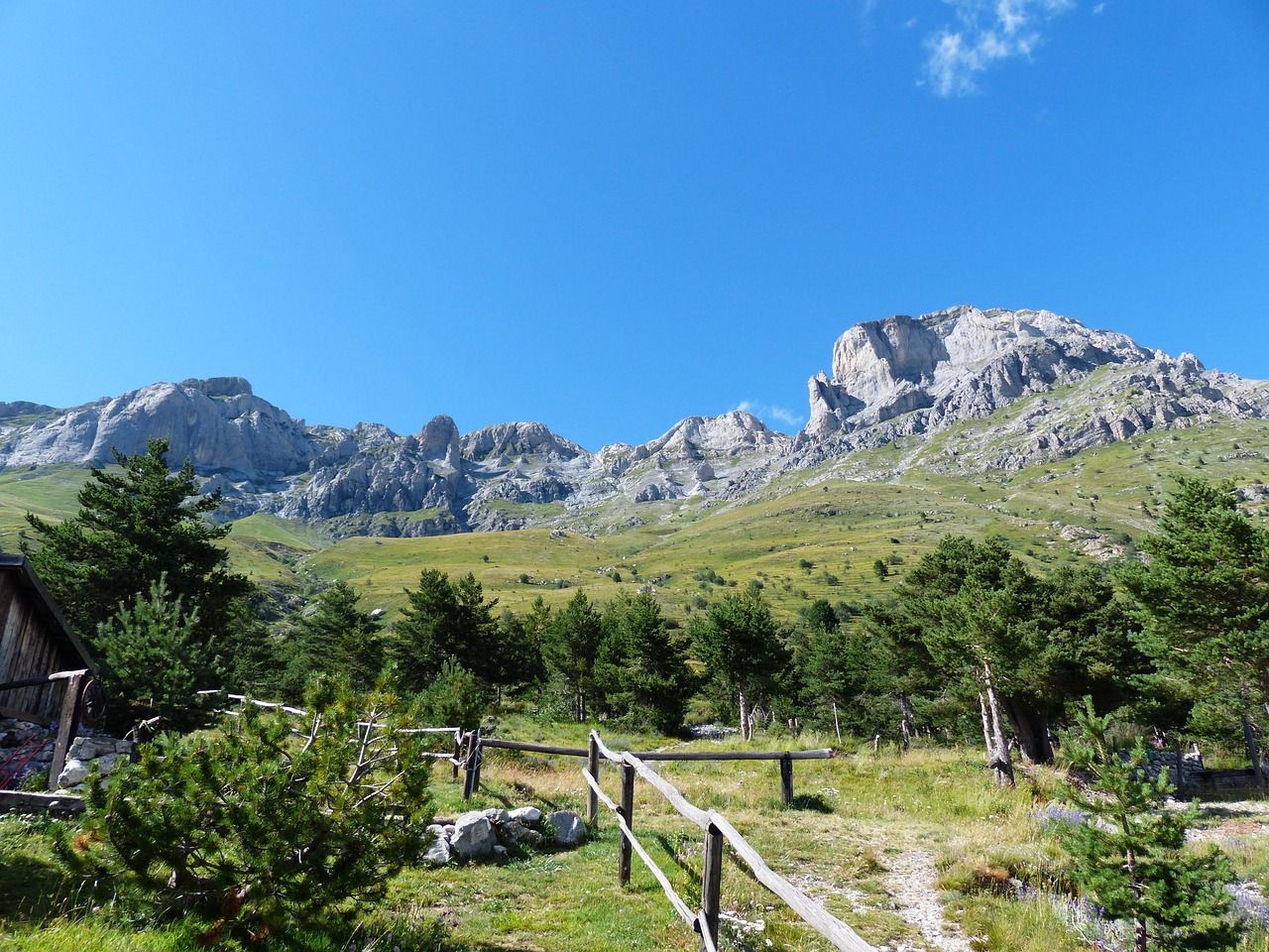 Isola delle Tartarughe