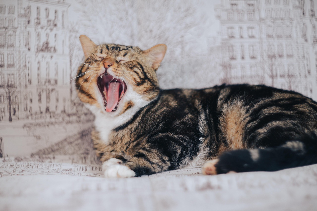 How Do Loud Noises Cause Hearing Loss