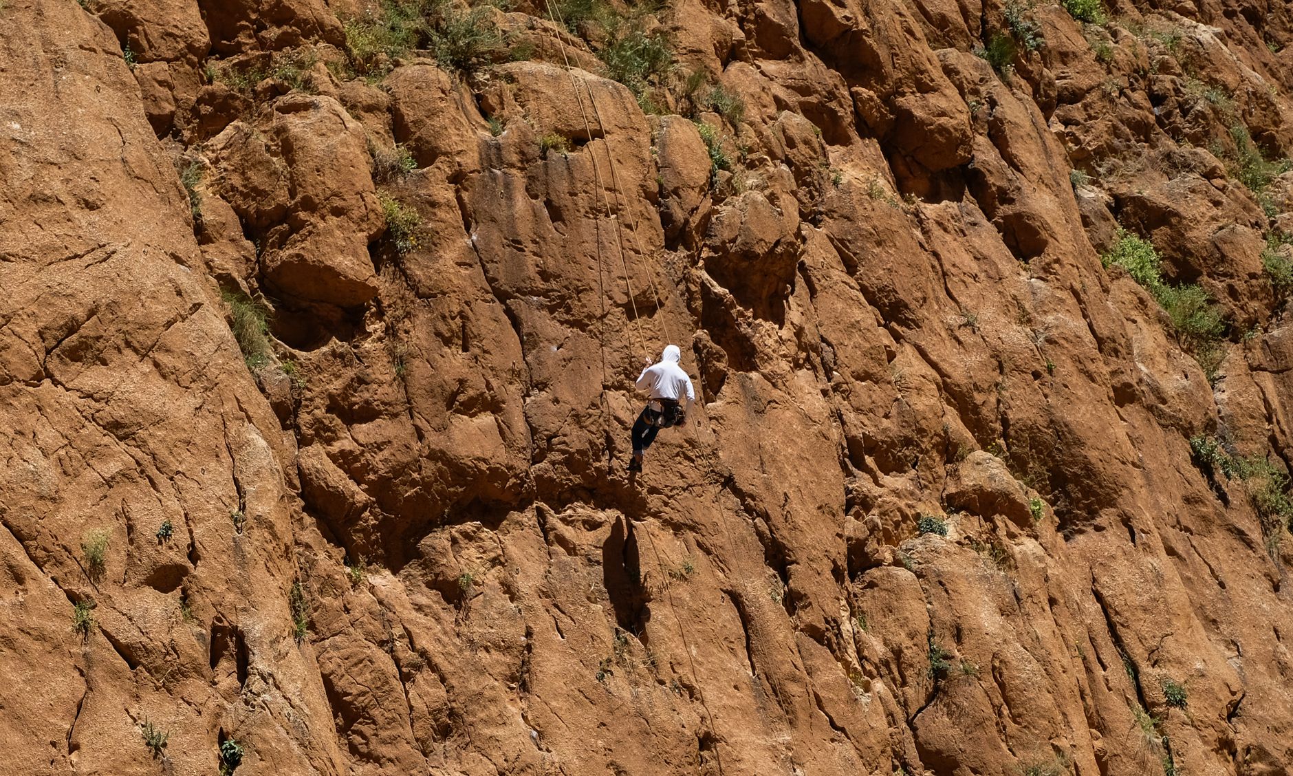 Exploring the Health Risks of Extreme Sports