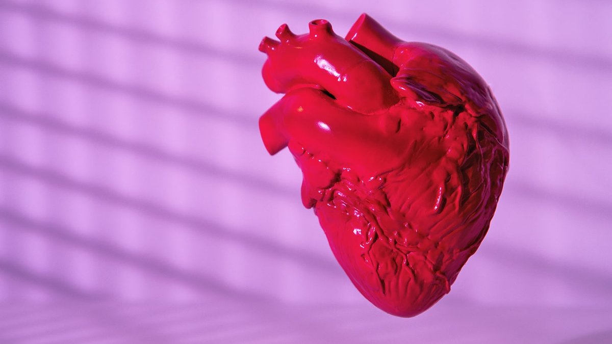 New drug shows heart benefits for muscular dystrophy patients New drug shows heart benefits for muscular dystrophy patients - muscular dystrophy drug