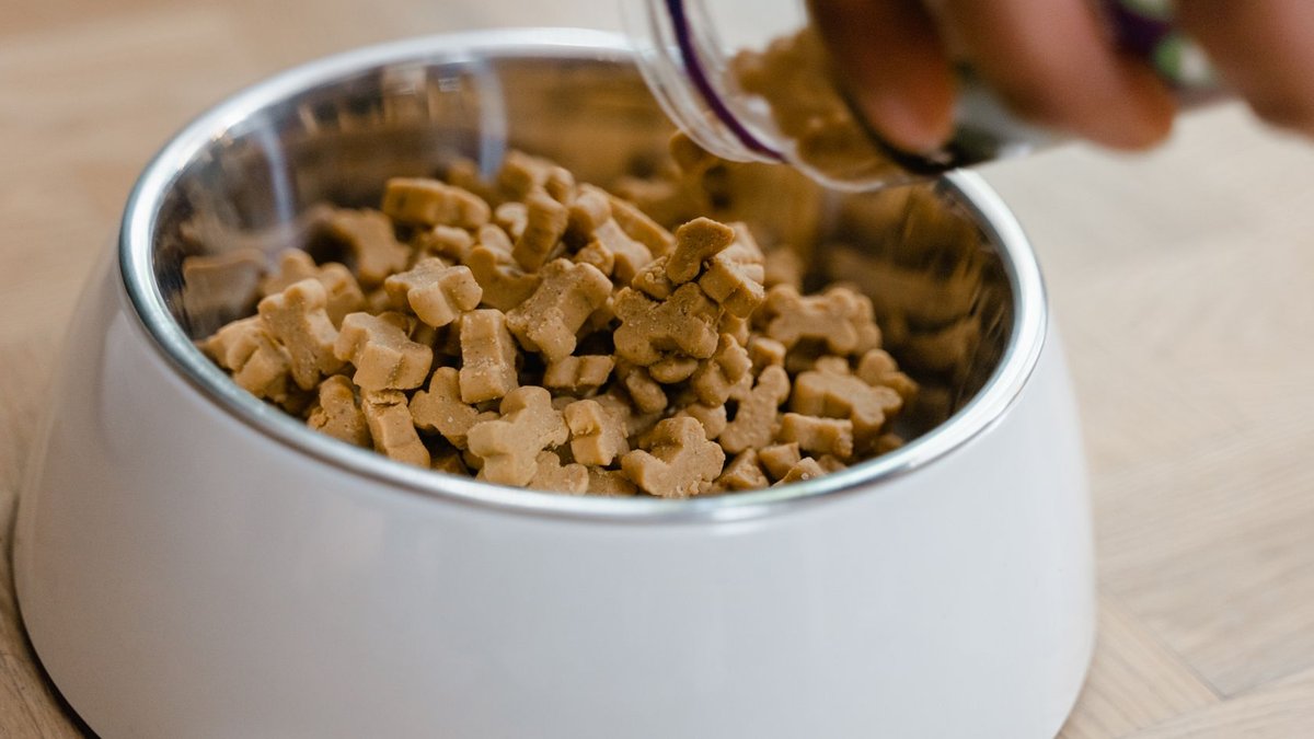 Pet Food Labels Need Major Overhaul - pet food labels