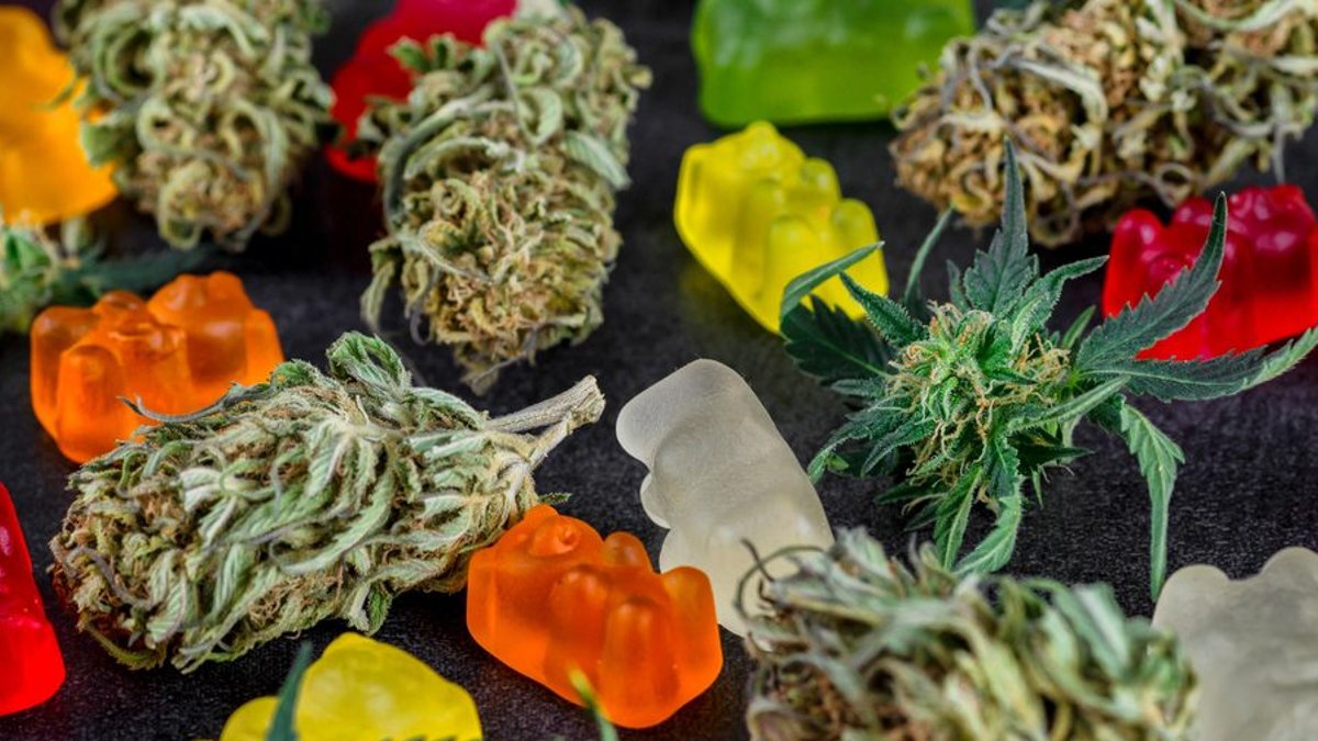 CBD gummies science in Ireland examined CBD gummies science in Ireland examined - cbd gummies