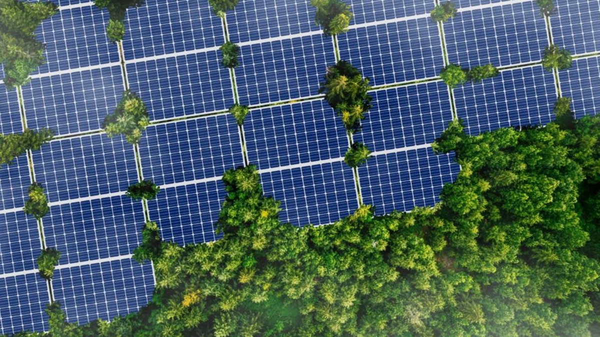 Solar firm gives old panels new life Solar firm gives old panels new life - solar panel recycling