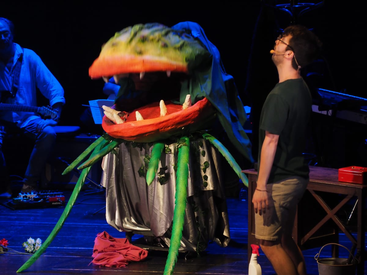 Escena de Little Shop of Horrors con la planta carnívora gigante con la boca abierta