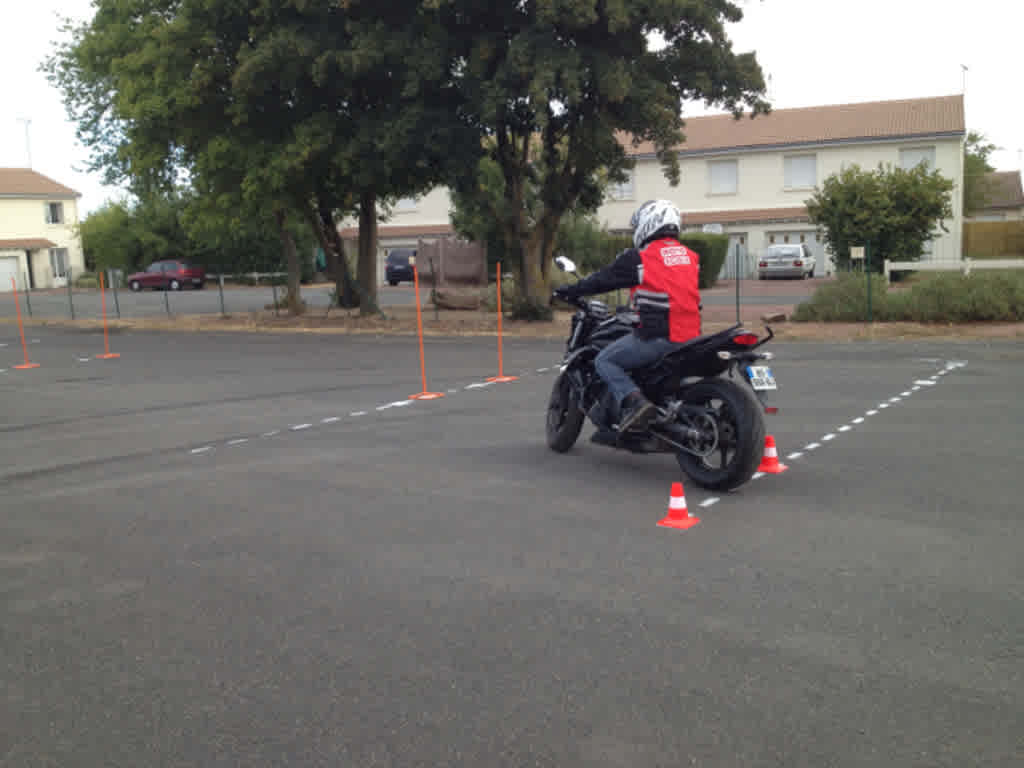 Cattus Formation - THOUARS