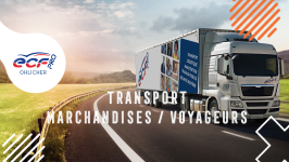 Image de ECF Ohlicher - Forma Pro Transport