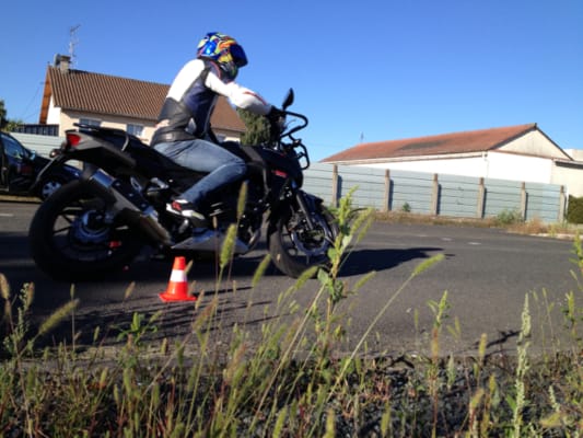 Cattus Formation - THOUARS - 2