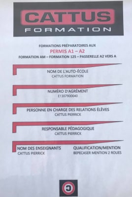 Cattus Formation - THOUARS - 3