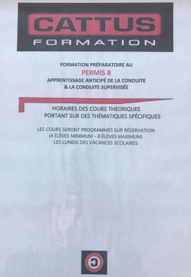 Cattus Formation - THOUARS - 6