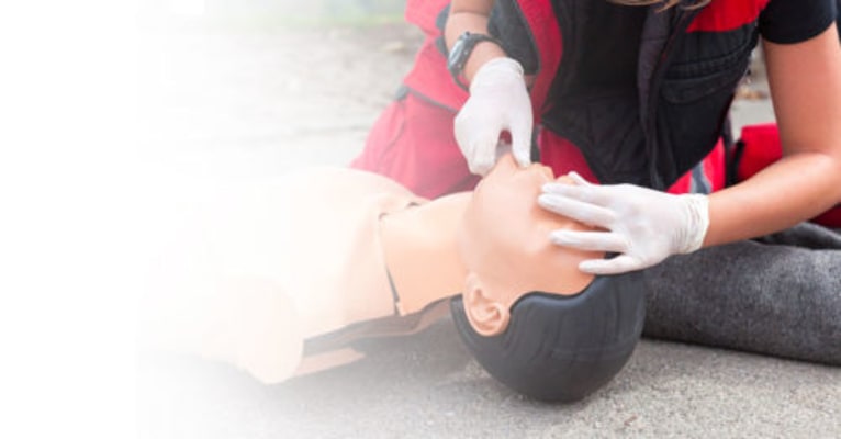 ECF Pro Marseille - Marseille - 5