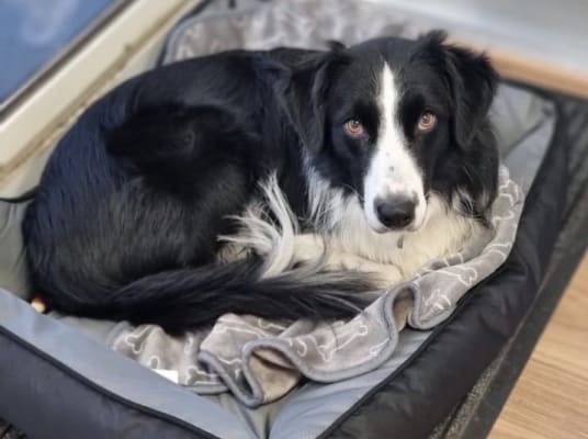 Auto-école du Technopole - Metz - 2
