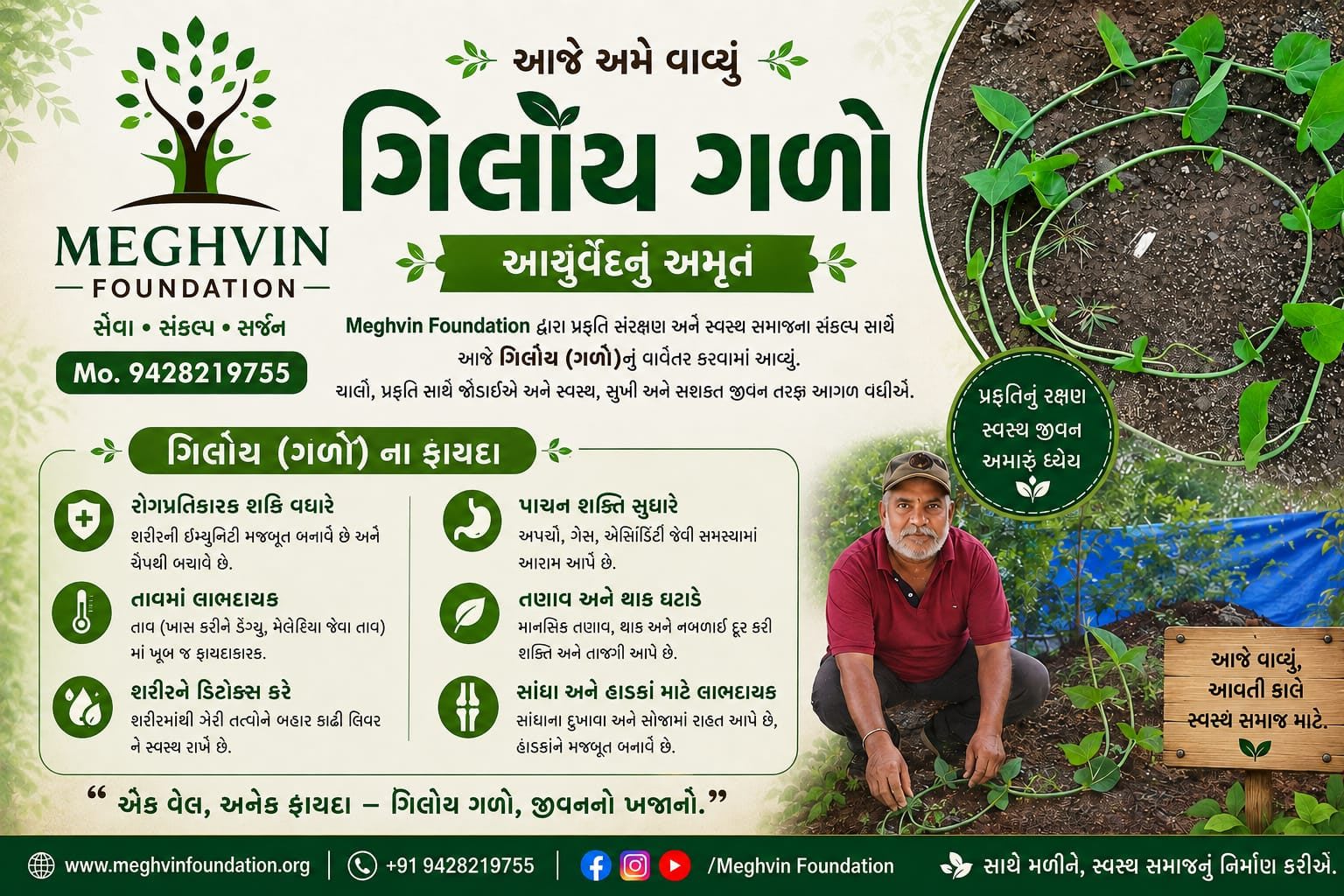 ગિલોય ગળો – આયુર્વેદનું અમૃત