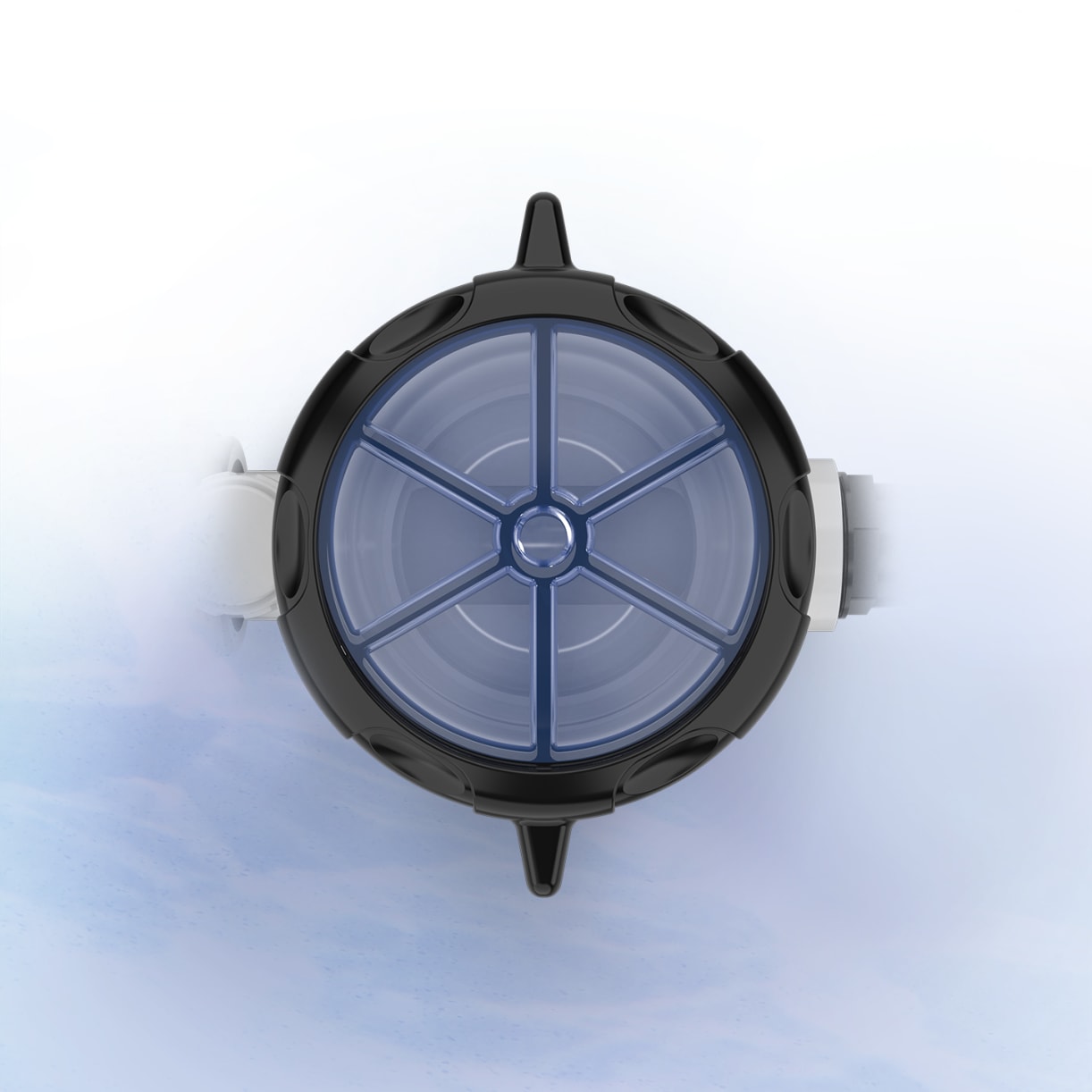 Transparent Lid