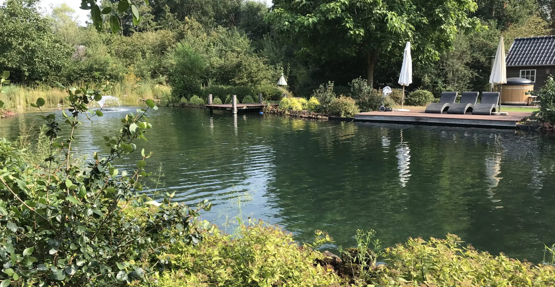AquaForte - Zwemvijver & Biopool - Type Puur Natuur