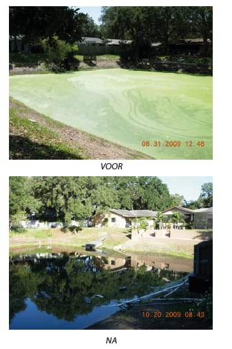 AquaForte Pond Zinger