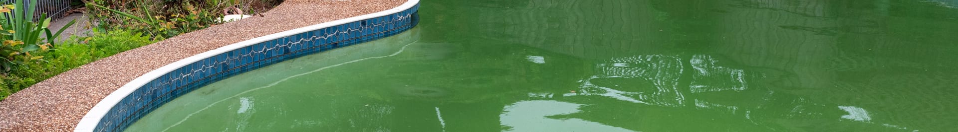 What's Causing My Green Pool?