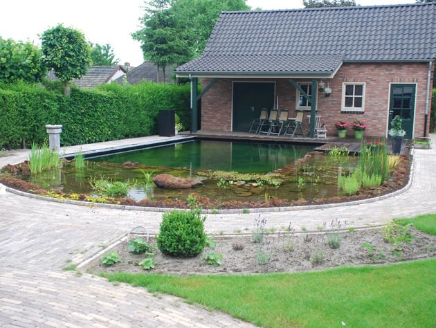 Type 1: Pure nature pond - AquaForte - Vijvercentrum Overloon