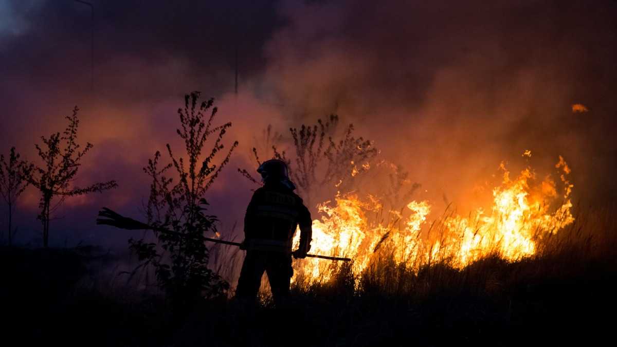 How to Restore Pool After Bushfires