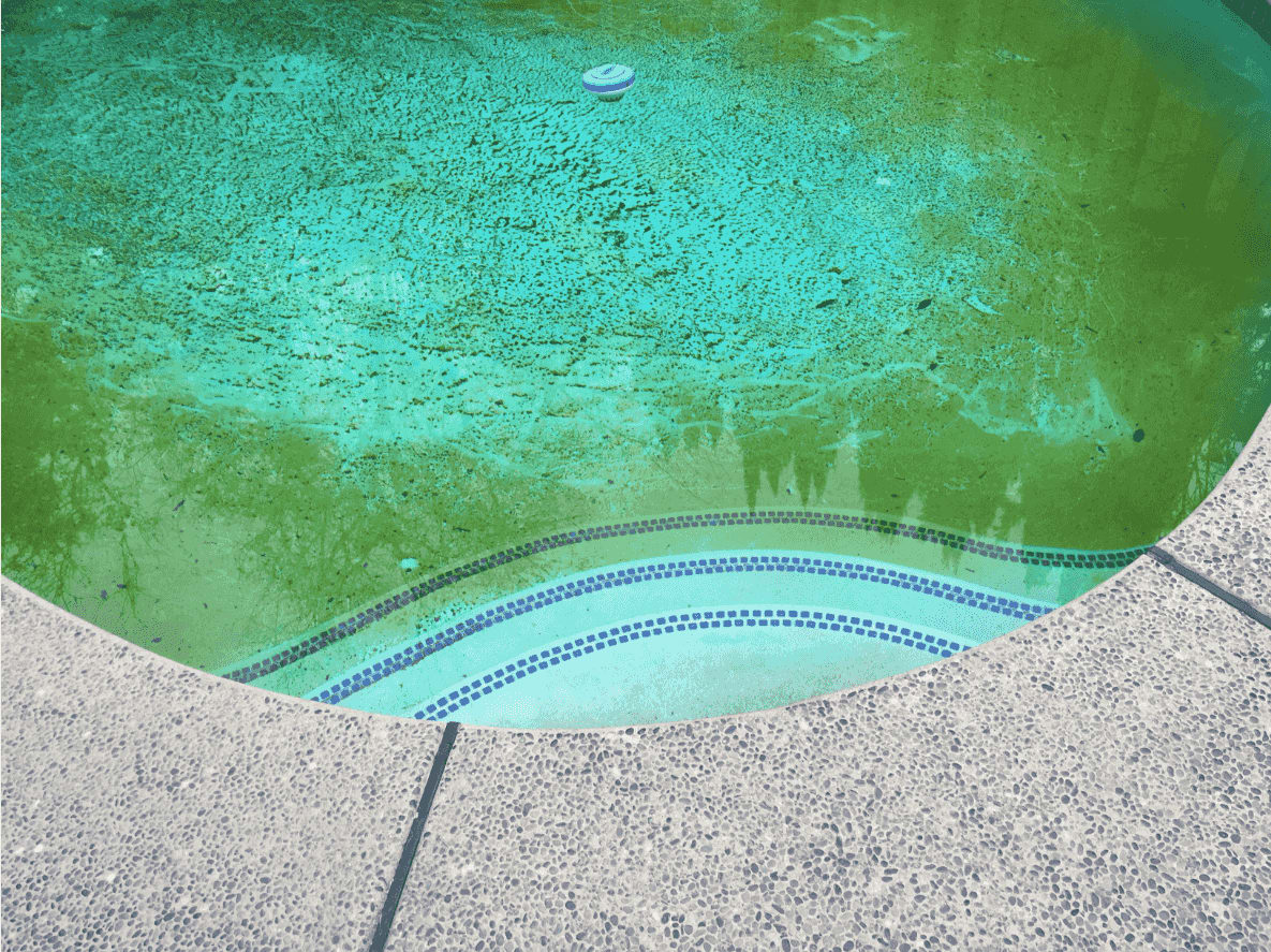 How to Fix a Green Pool With 5 Simple Steps