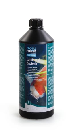 AquaForte Lactic acid bacteria 1 liter