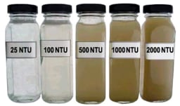 AquaForte Pond Zinger