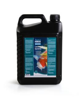AquaForte Lactic acid bacteria 5 liter