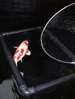 Floating Inspection Nets