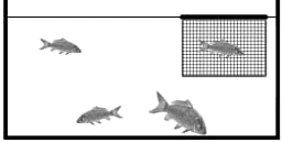 Floating Inspection Nets