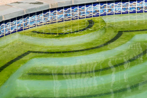 green-pool