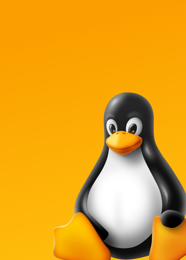 How I Got Into The World Of Linux