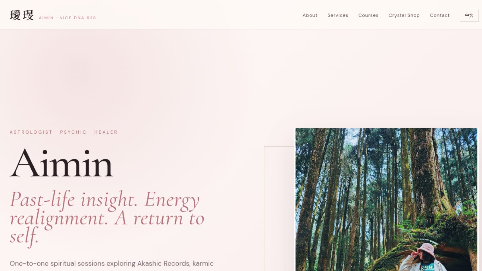 NiceDNA / Aimin website preview
