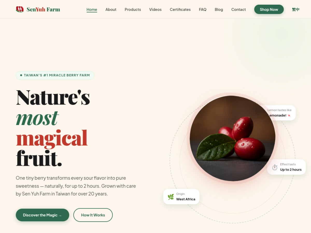 Sen Yuh / MberryTW website preview