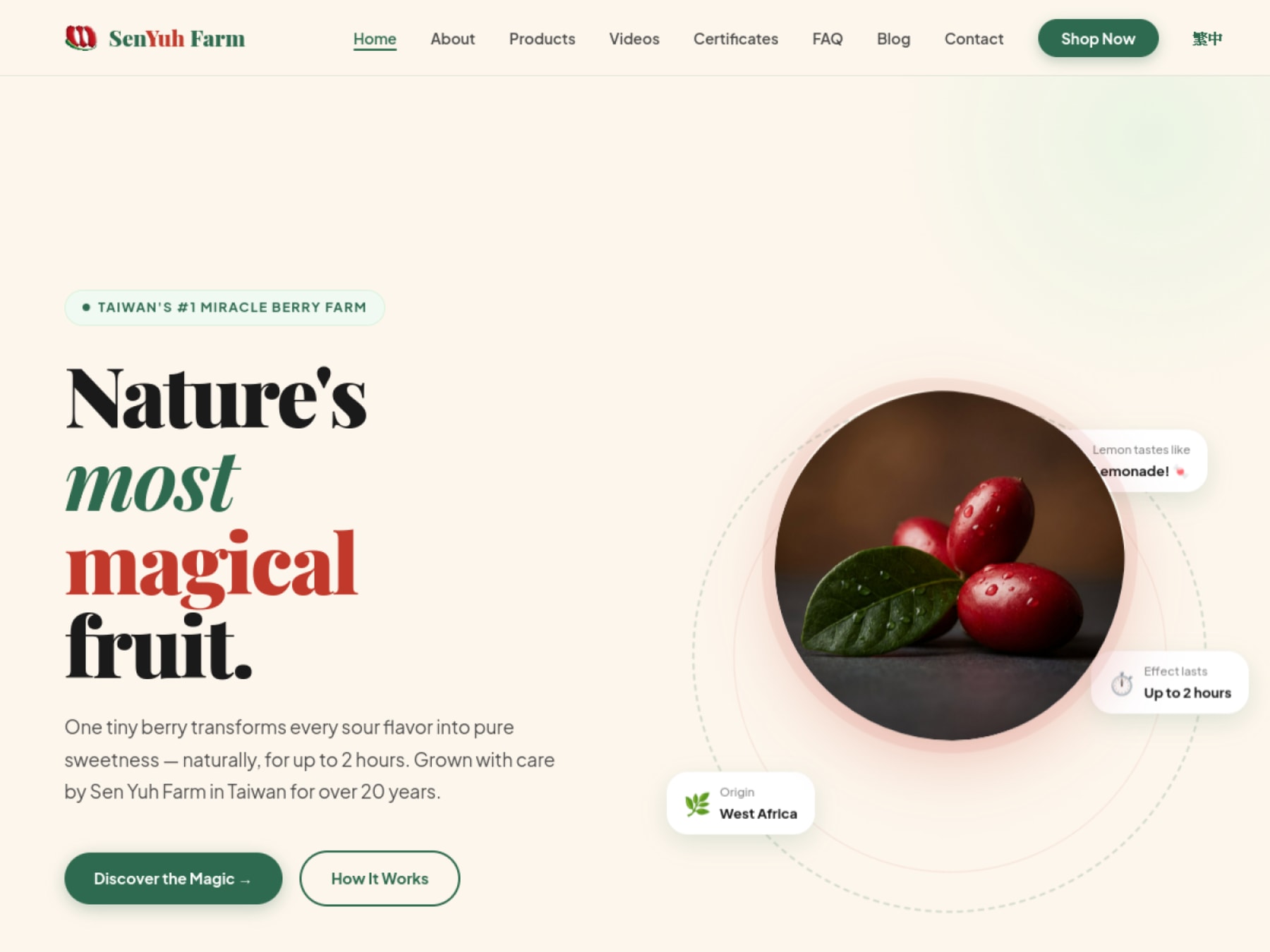 Sen Yuh / MberryTW website preview