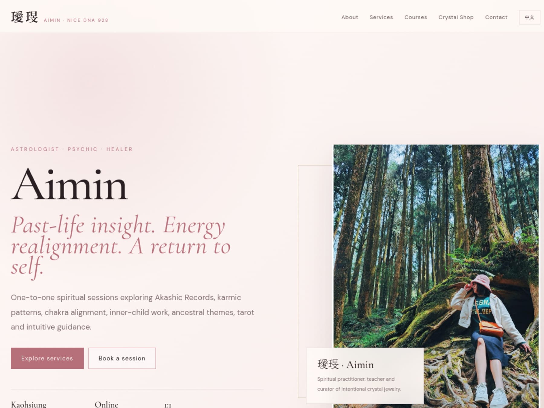 NiceDNA / Aimin website preview