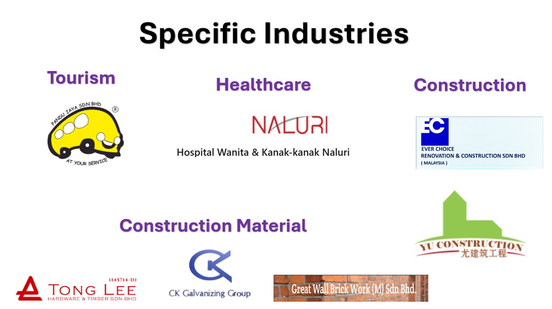 E-Invoice Implemented - Specific Industries