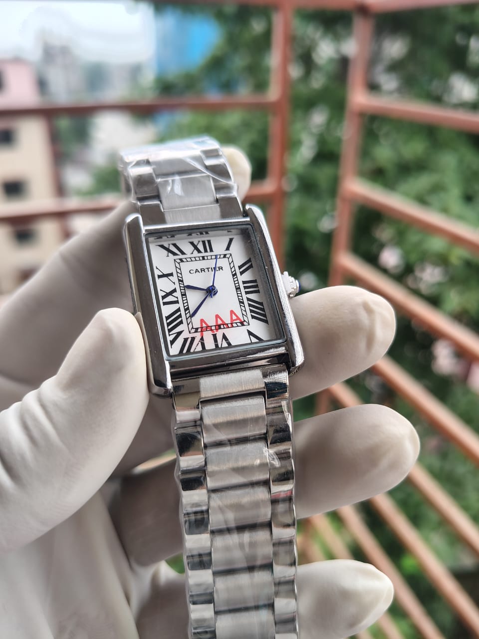 Watch Casing Detail 2