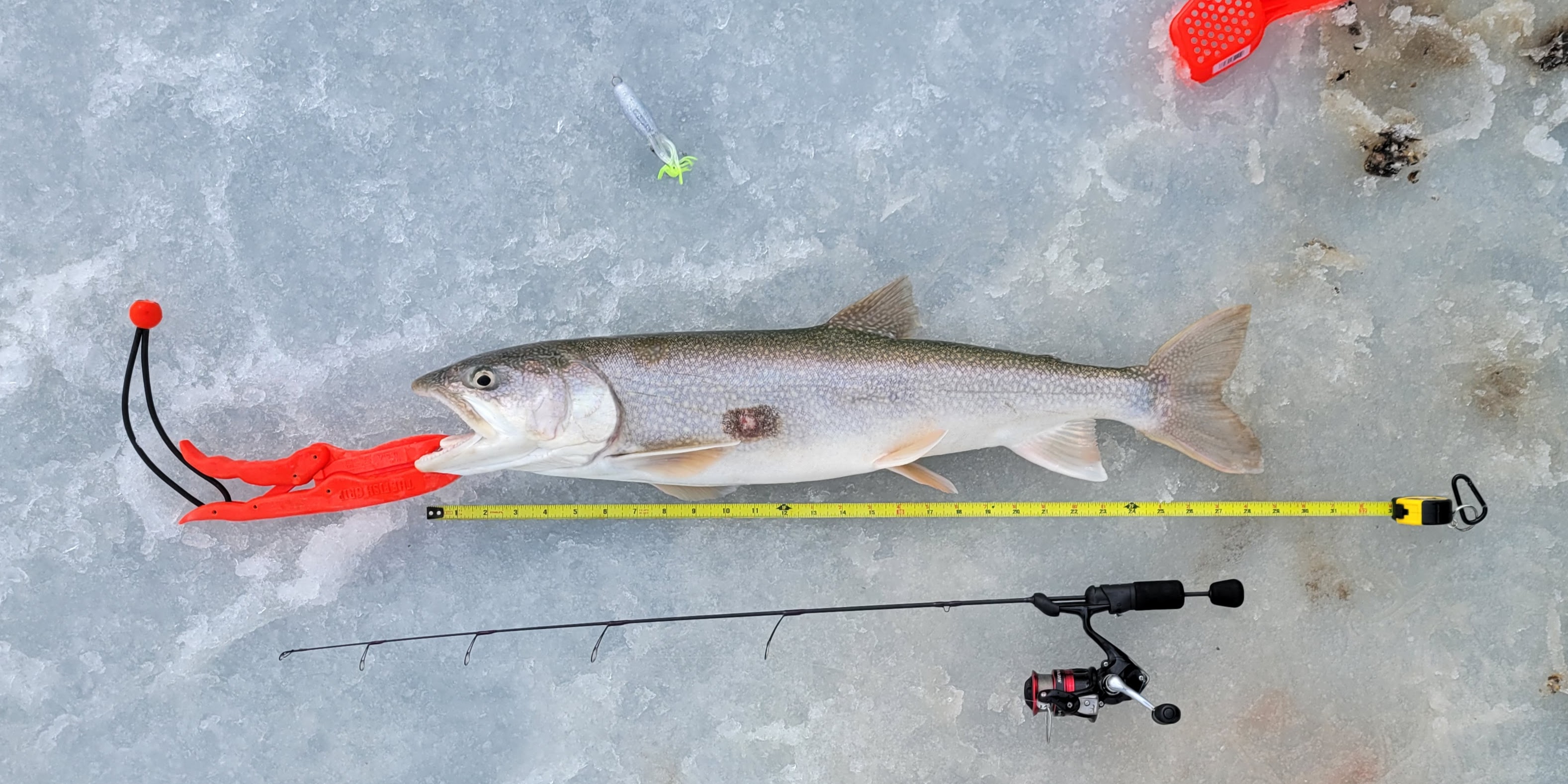 A vertical tube jig is a combination of a trolling weight, split rings and a treble or single hook