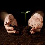 Soils: Introducing the World Beneath Our Feet