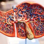 Liver Disease: Looking after Your Liver