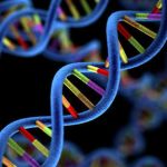 The Genomics Era: the Future of Genetics in Medicine