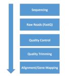 Next Generation Sequencing Data Analysis