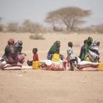 Sustainable Development in Humanitarian Action