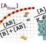 Quantitative Biology Workshop