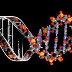 DNA: Biology’s Genetic Code