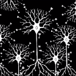 Fundamentals of Neuroscience, Part 2: Neurons and Networks