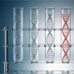 DNA Sequences: Alignments and Analysis