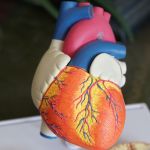 Cardiovascular Disease