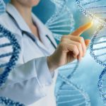 How Does the Body Use DNA as a Blueprint?